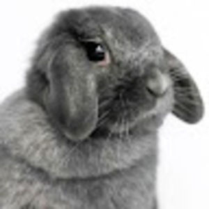 Meet your Posher, Shawn